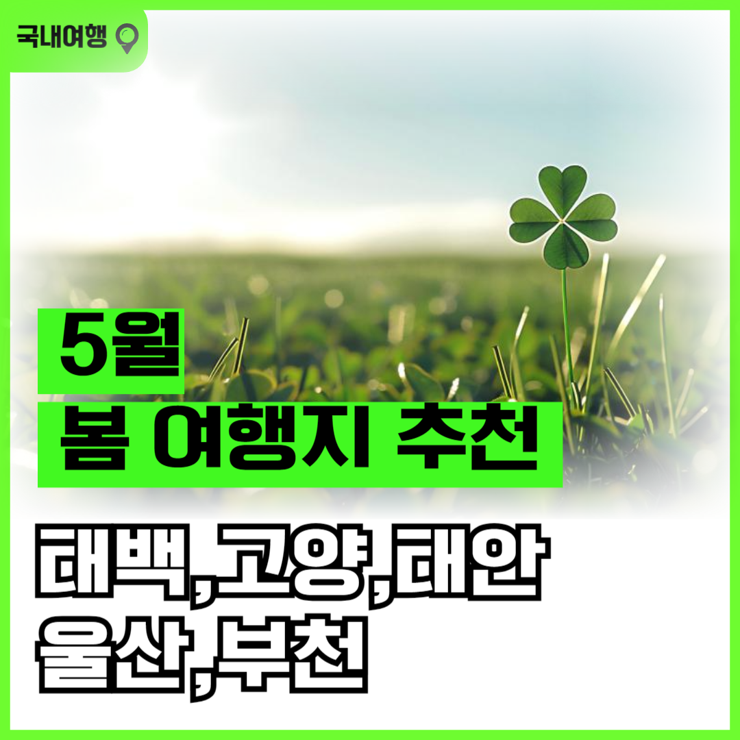5월 봄 여행 추천 태백 고양 태안 울산 부천