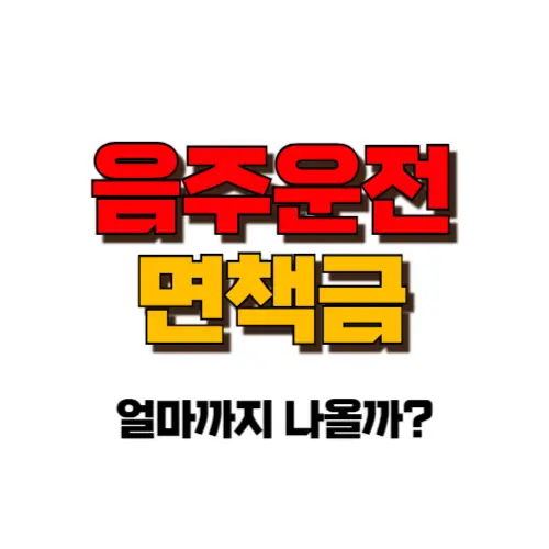 음주운전 면책금 썸네일