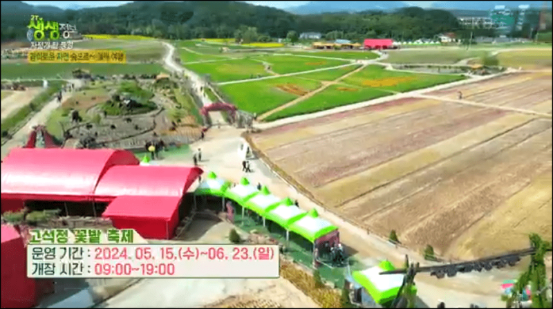 고석정 꽃밭 축제 안내