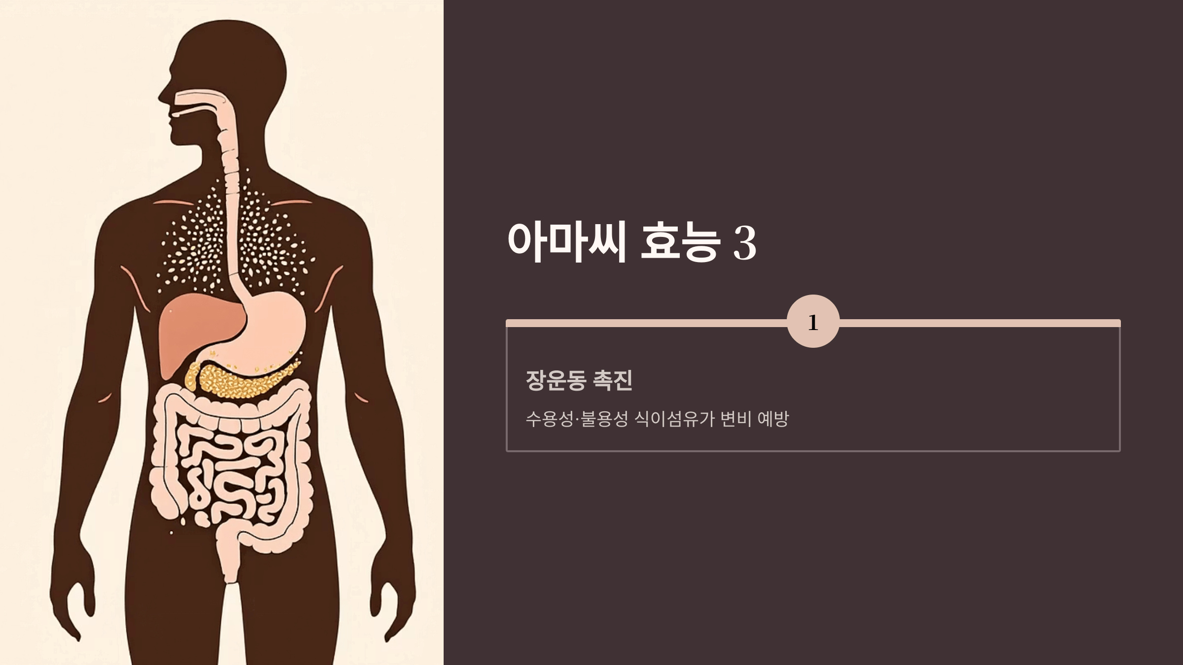 아마씨 사진입니다.