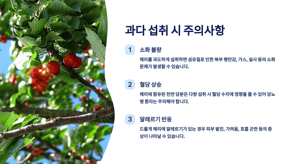 과다 섭취 시 주의사항