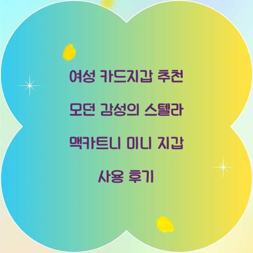 여성 카드지갑 추천