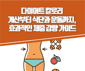 다이어트 칼로리