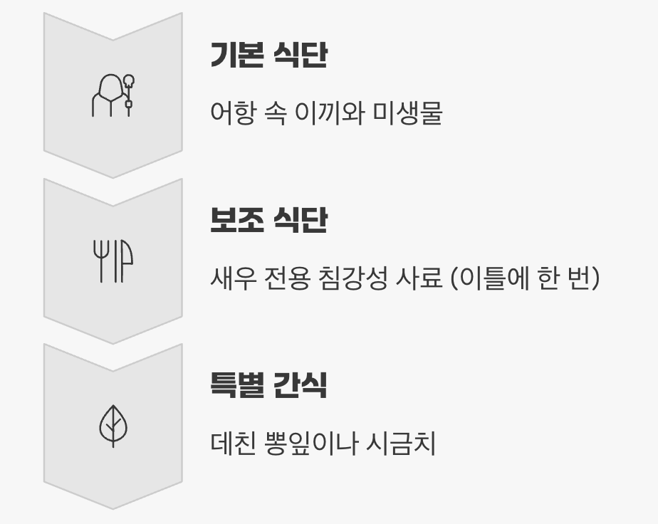 까다롭지 않은 식사 시간