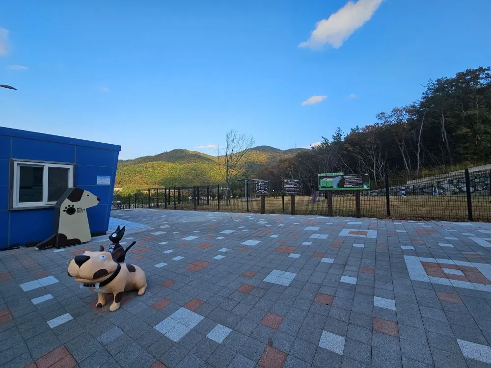 【사등면 사곡리】 거제시 반려동물 놀이터 소개! [반려견 강아지 운동장 이용 방법 운영 시간 네이버 예약]