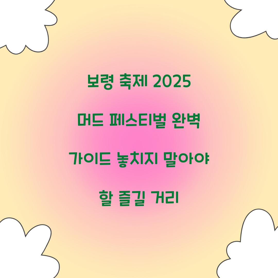 보령 축제 2025 머드 페스티벌