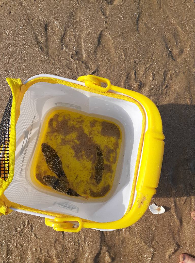 서해캠핑여행