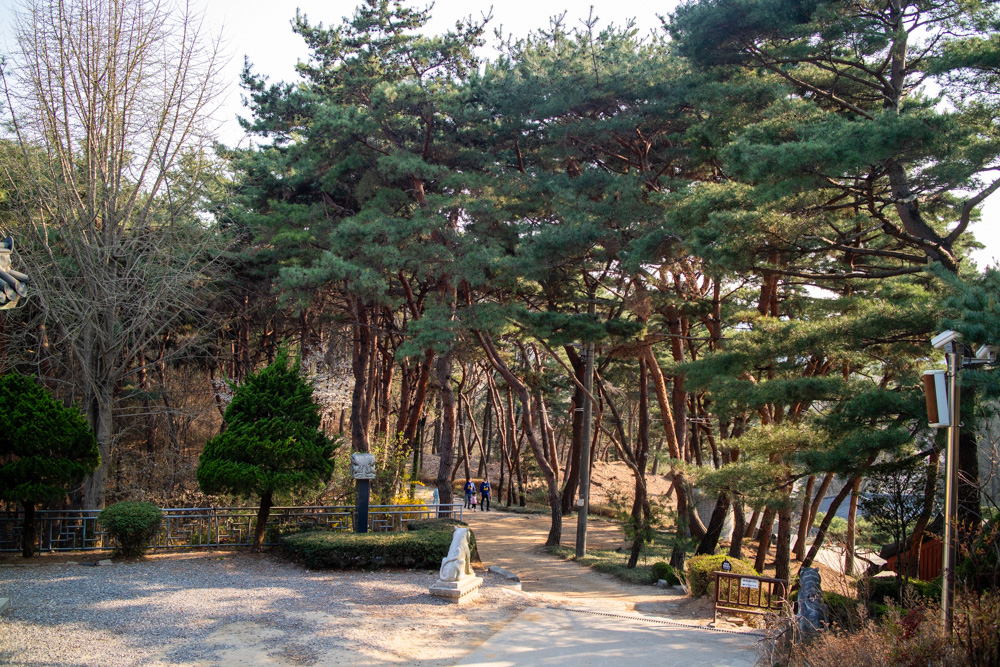 안양시의 지명 유래인 안양사 숲길