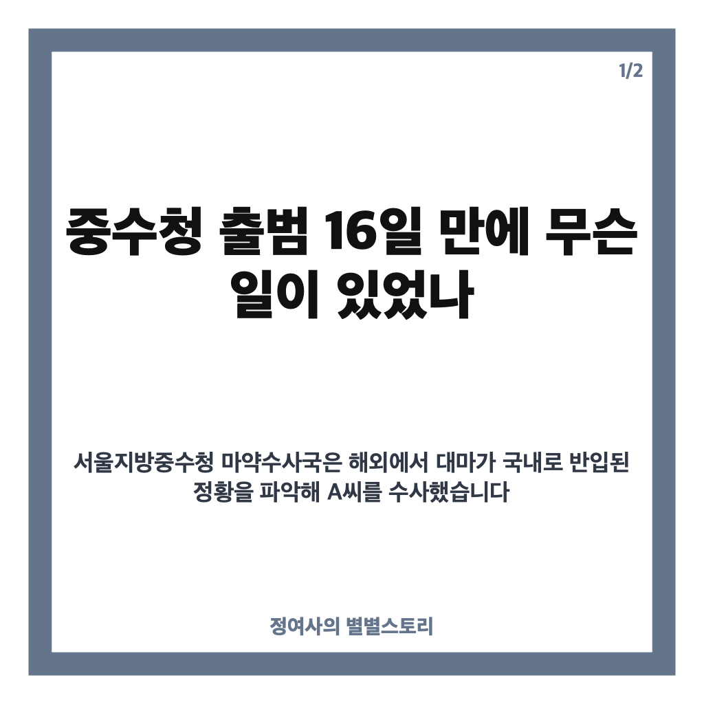중수청 대마 밀수 첫 구속, 출범 16일 만에 무슨 일이 있었나 카드뉴스 1