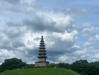 충주 가볼만한곳 베스트10 완벽 관광 가이드_8