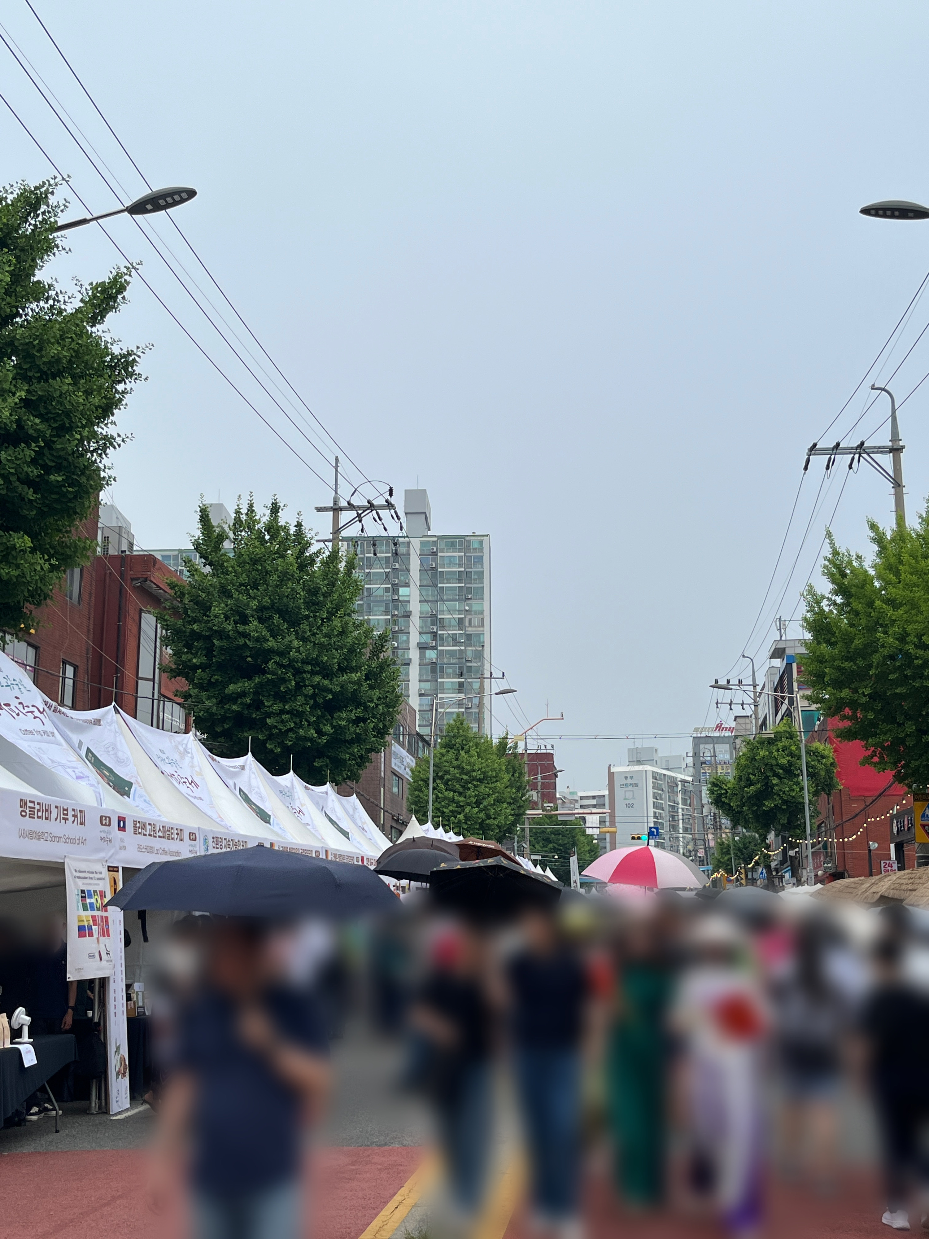 공릉숲길 커피축제