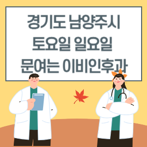 경기도 남양주시 토요일 일요일 이비인후과 진료 문여는 병원 리스트