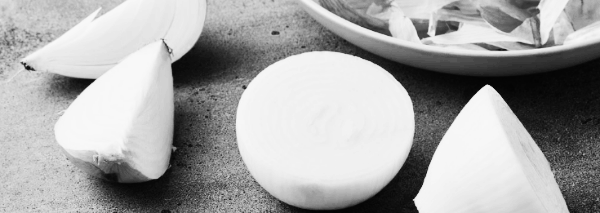 양파 뿌리 윗부분 줄기 5~10cm 남기기