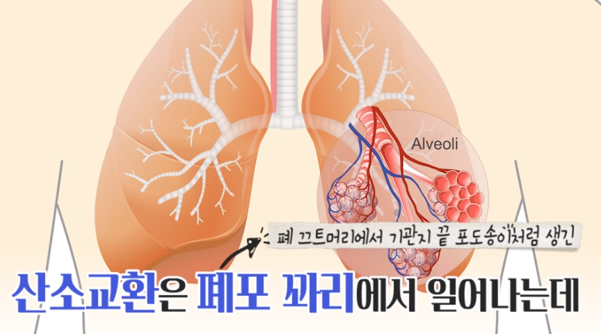 산소교환하는 위치