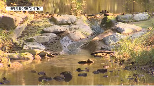 서울대 안양수목원(관악수목원) 개방 안내
