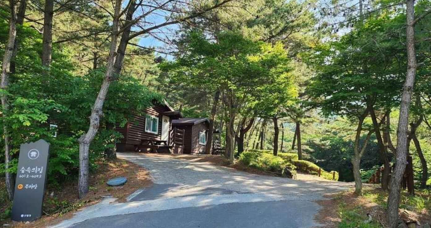 서천 가볼만한곳 베스트10 희리산해송자연휴양림