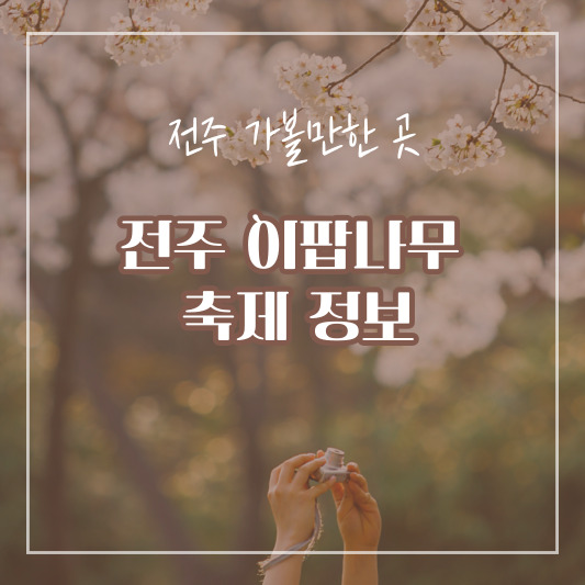 전주 가볼 만한 곳 팔복예술공장 이팝나무 철길 이팝나무 축제