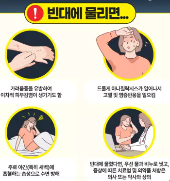 빈대 물리면 나타나는 증상