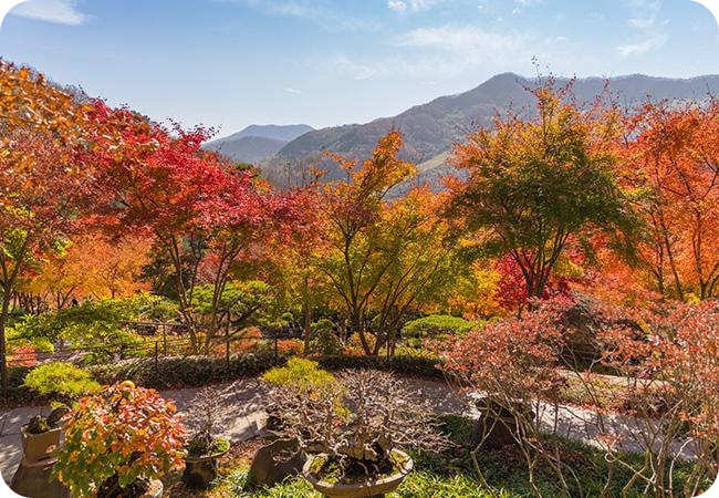 화담숲 이미지/출처: 화담숲 홈페이지