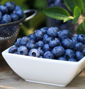 블루베리