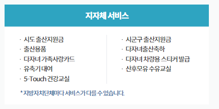 지역별 출산 지원 서비스 안내(@정부24)