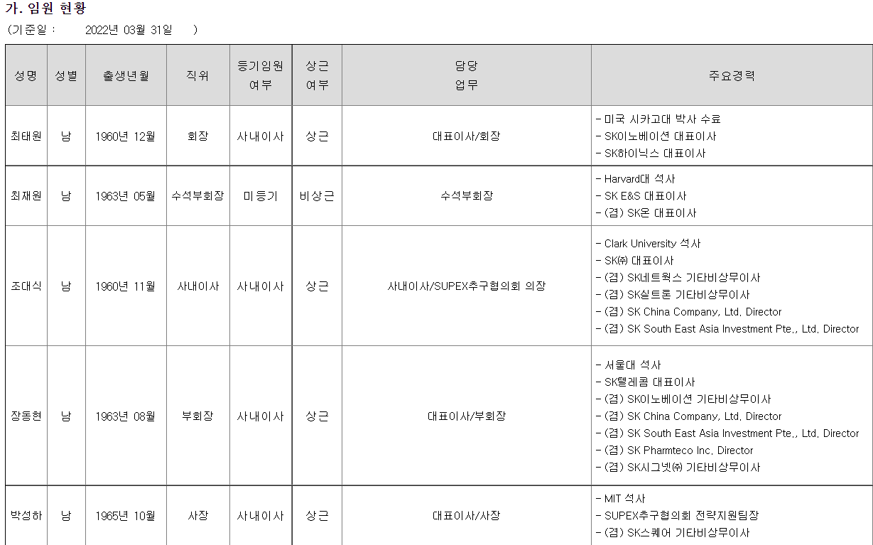 SK 임원