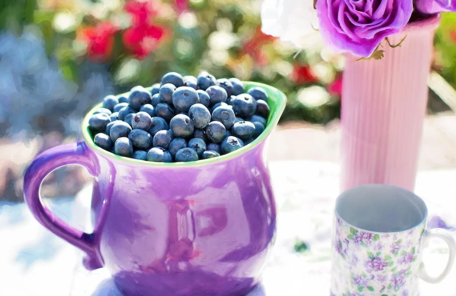 베리류의 종류와 영양