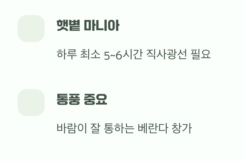 가장 중요한 첫 단추, '햇볕'과 '자리'
