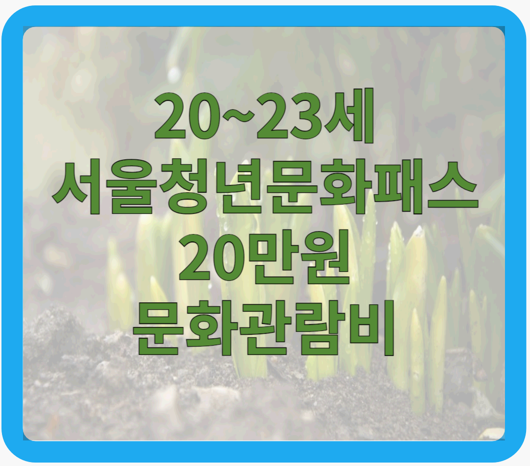 문화관람비