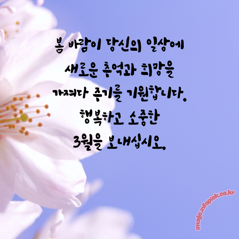 3월 인사말 문구 이미지 모음집3월 인사말 문구 이미지 모음집