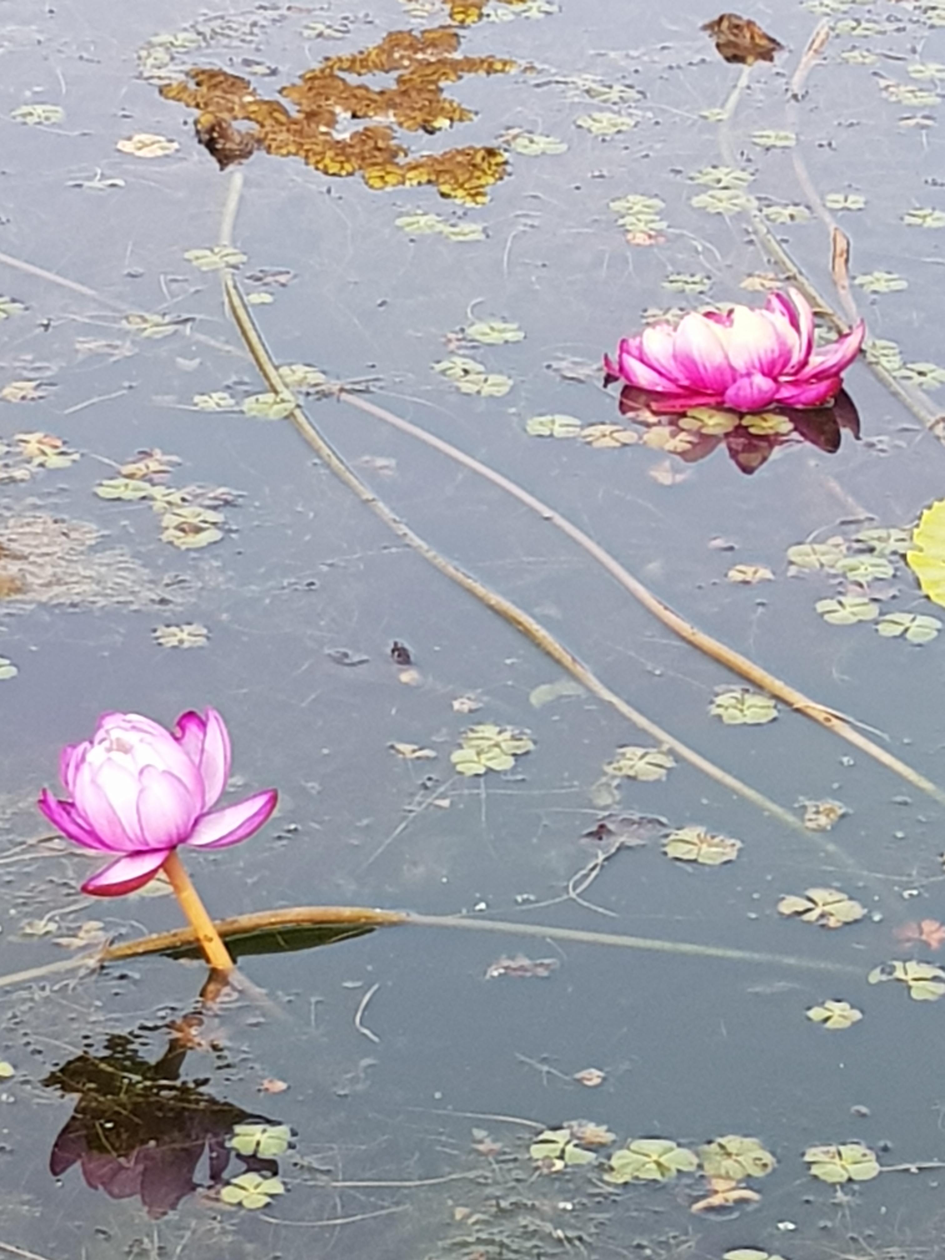 2026 수능 일정표