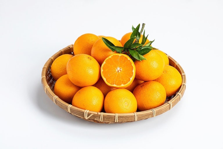 전립선에 좋은 음식