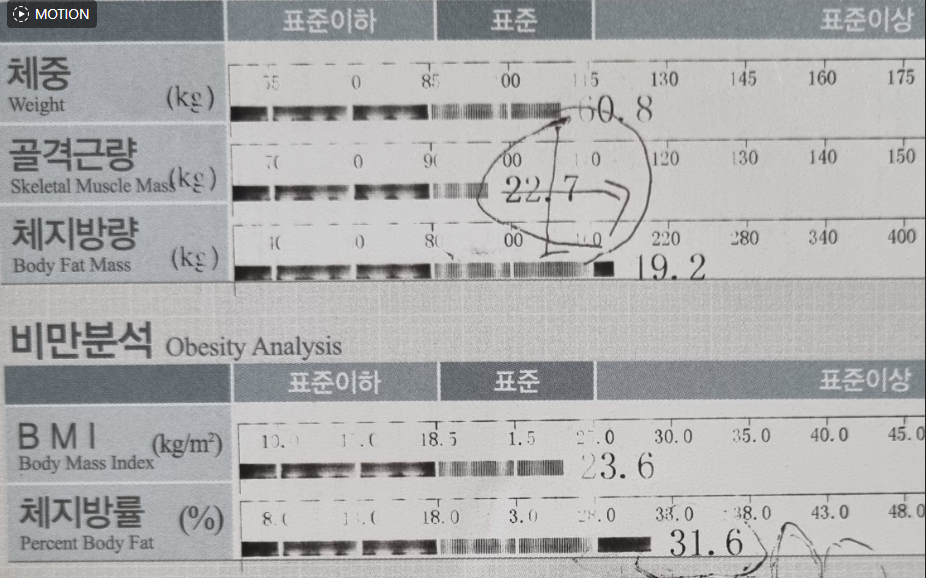 인바디 측정 결과