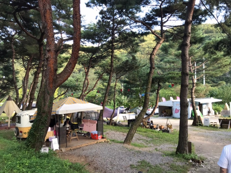 춘천 황금박쥐캠핑장 소개