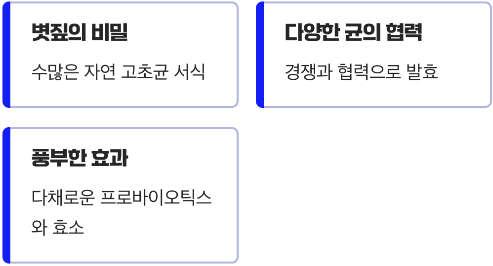 한국의 힘&amp;#44; 볏짚에 깃든 자연의 군대