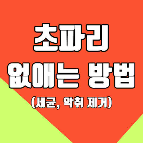 초파리 없애는 방법