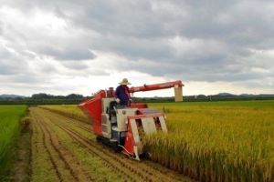 농업 수확기 사진