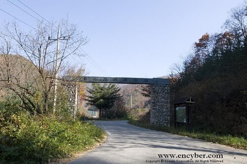 대구 가볼만한 단풍 여행은 어디일까? 대구 단풍 여행 총정리!