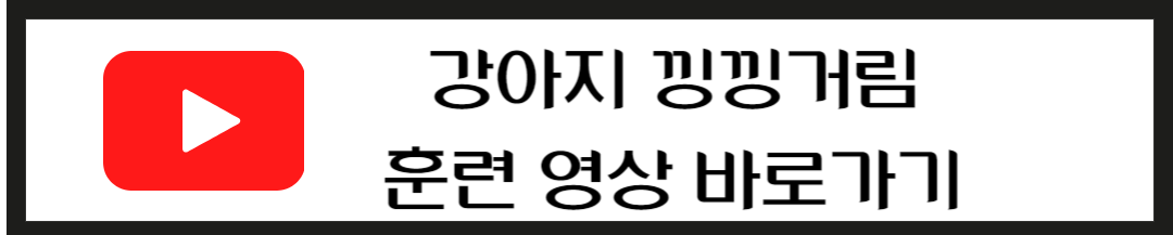 강아지 낑낑거림 훈련영상 바로가기