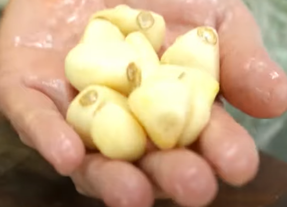 편스토랑 류수영 돼지불백 레시피 조리 준비6