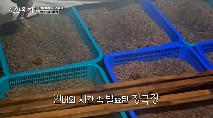 청국장의재발견