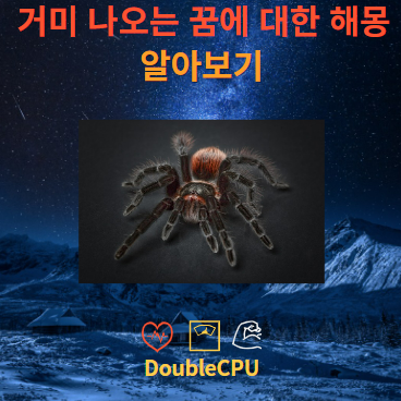 거미 나오는 꿈에 대한 해몽 뜻 풀이
