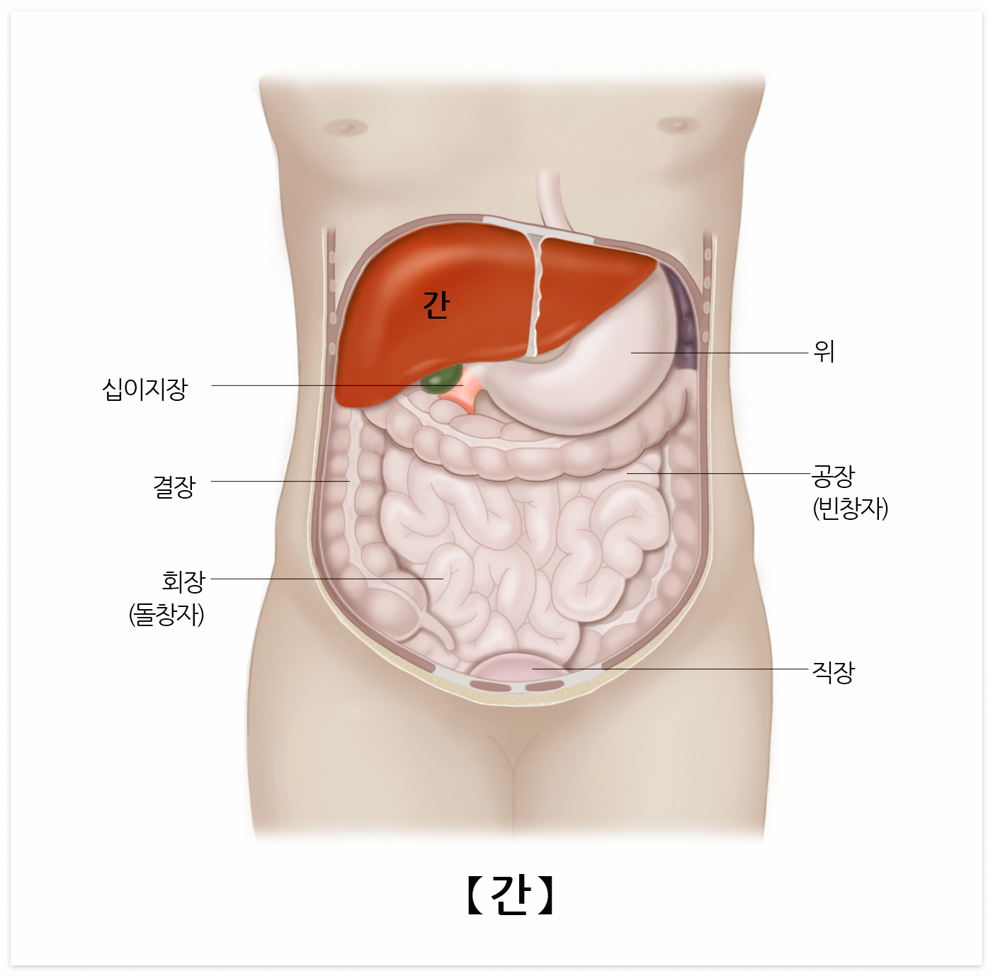 엄나무순-효능