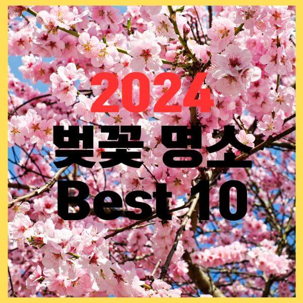벚꽃명소