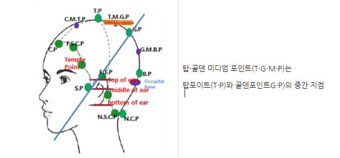댕기머리