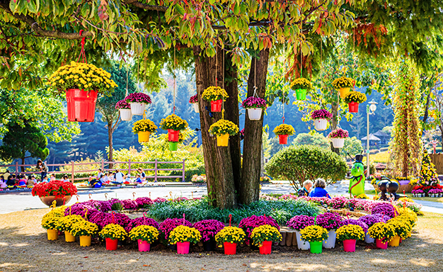 용인농촌테마파크