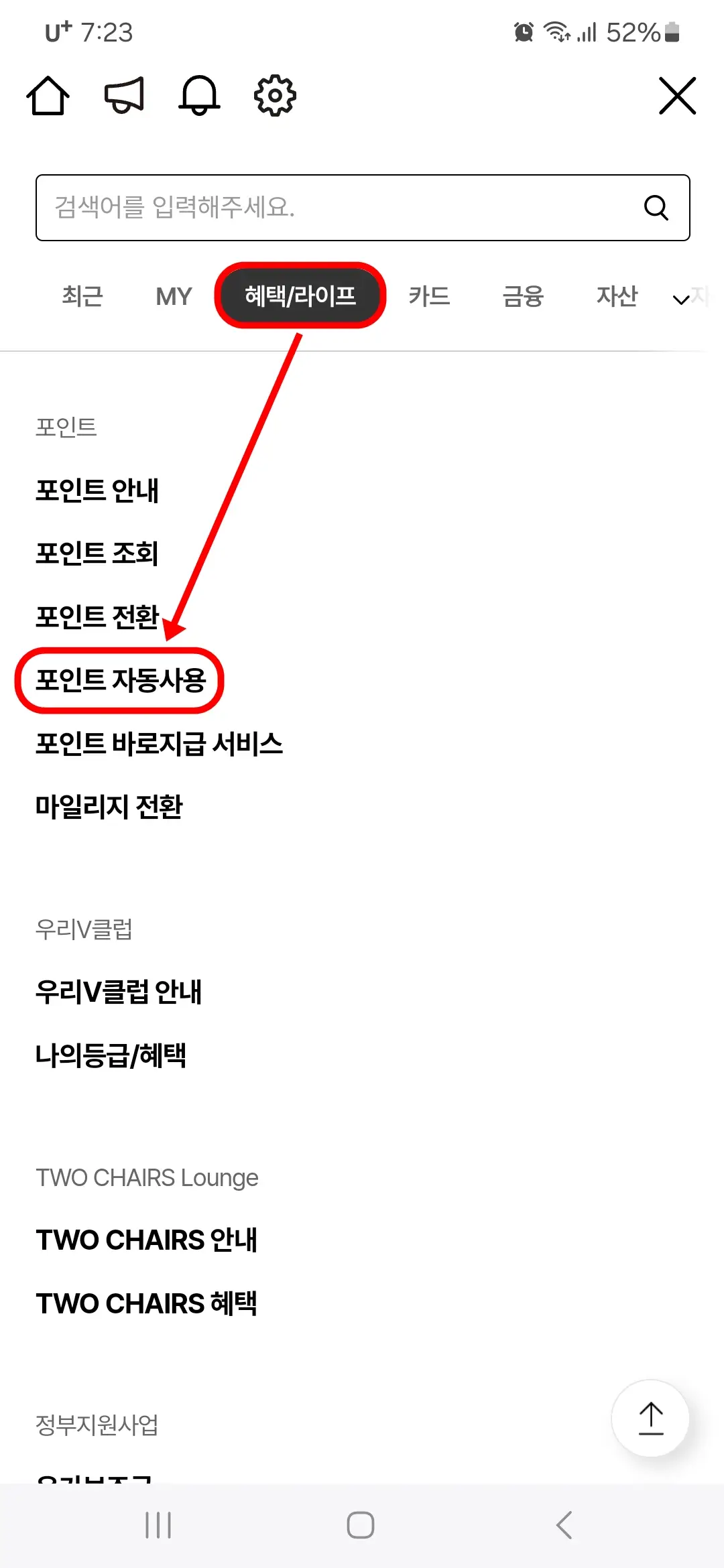 포인트 자동사용