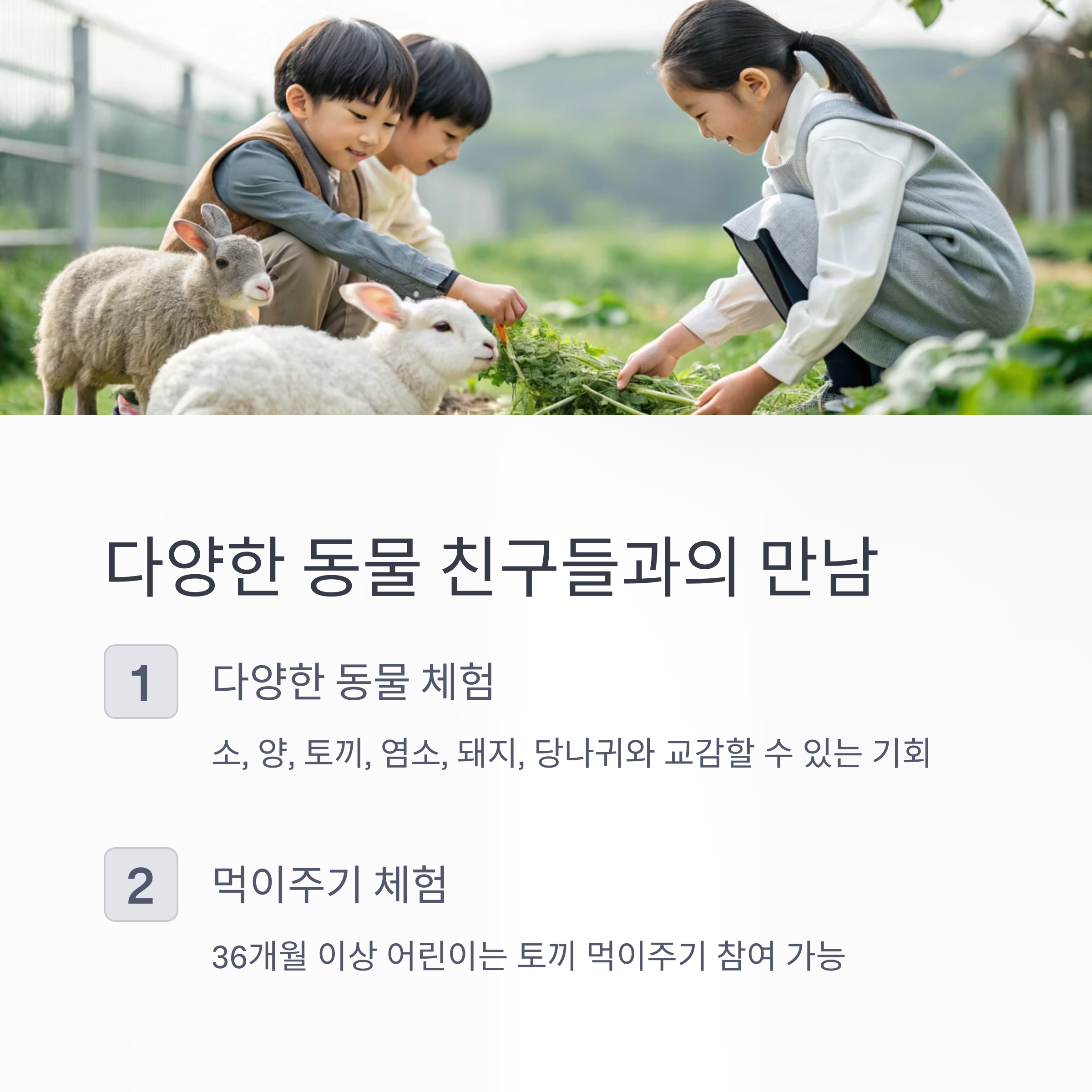 다양한 동물 친구들과의 만남