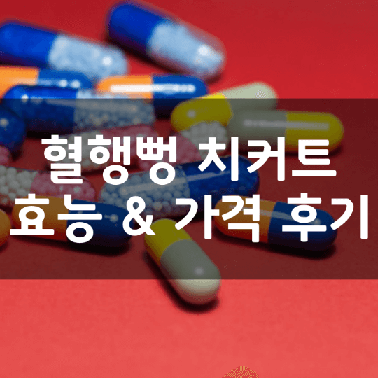 데이베리어-혈행뻥-치커트-뜻-성분-효능-부작용-복용법-가격-내돈내산-후기-추천-총정리