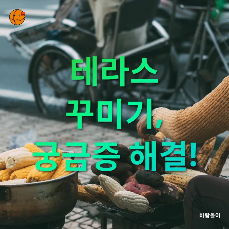 일상 속 힐링_4